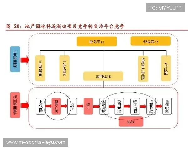 成长轨迹报告：更新