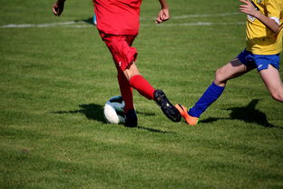 乐鱼体育APP官方下载-国家体育场馆运营管理论坛探讨智能化方向，国家体育总局体育场馆运营管理办法