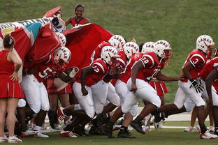 乐鱼娱乐app-教练战术板数字化，赛前准备更具效率，的篮球教练战术板教程视频